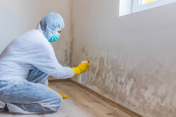 Hvac And Air Duct Mold Remediation inspection of HVAC system in Rumson